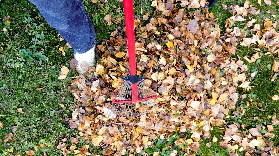 How to properly complete your Fall gardening this year
