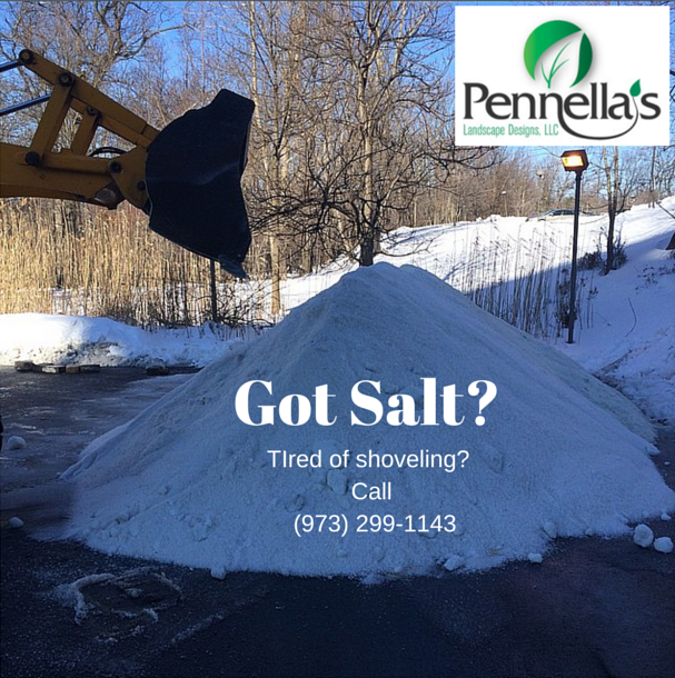 Got Salt? Need snowplowing or de-iceing help?