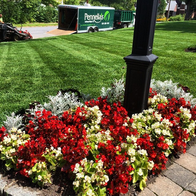 Keep Your Landscape Flourishing: Essential Maintenance Practices Unveiled by Our New Jersey Experts
